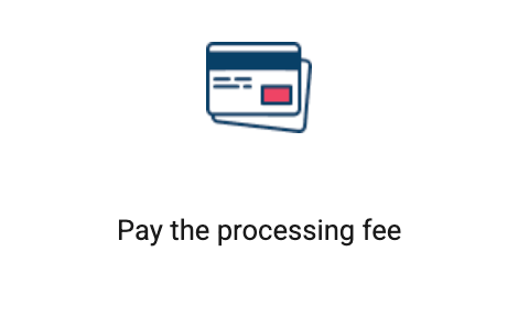 Secure online payment process using a credit card for visa fees